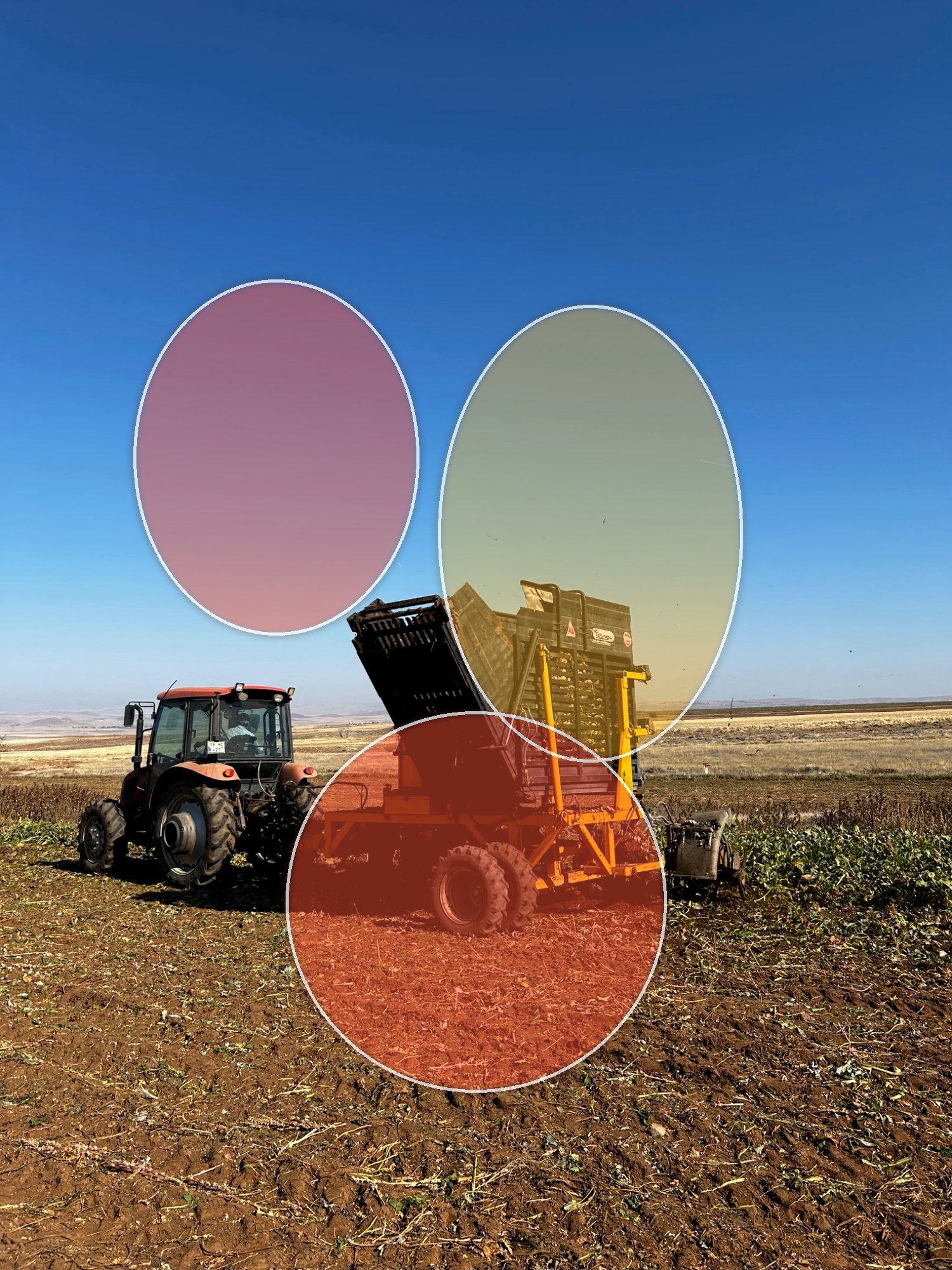 AI overlay crop disease demo