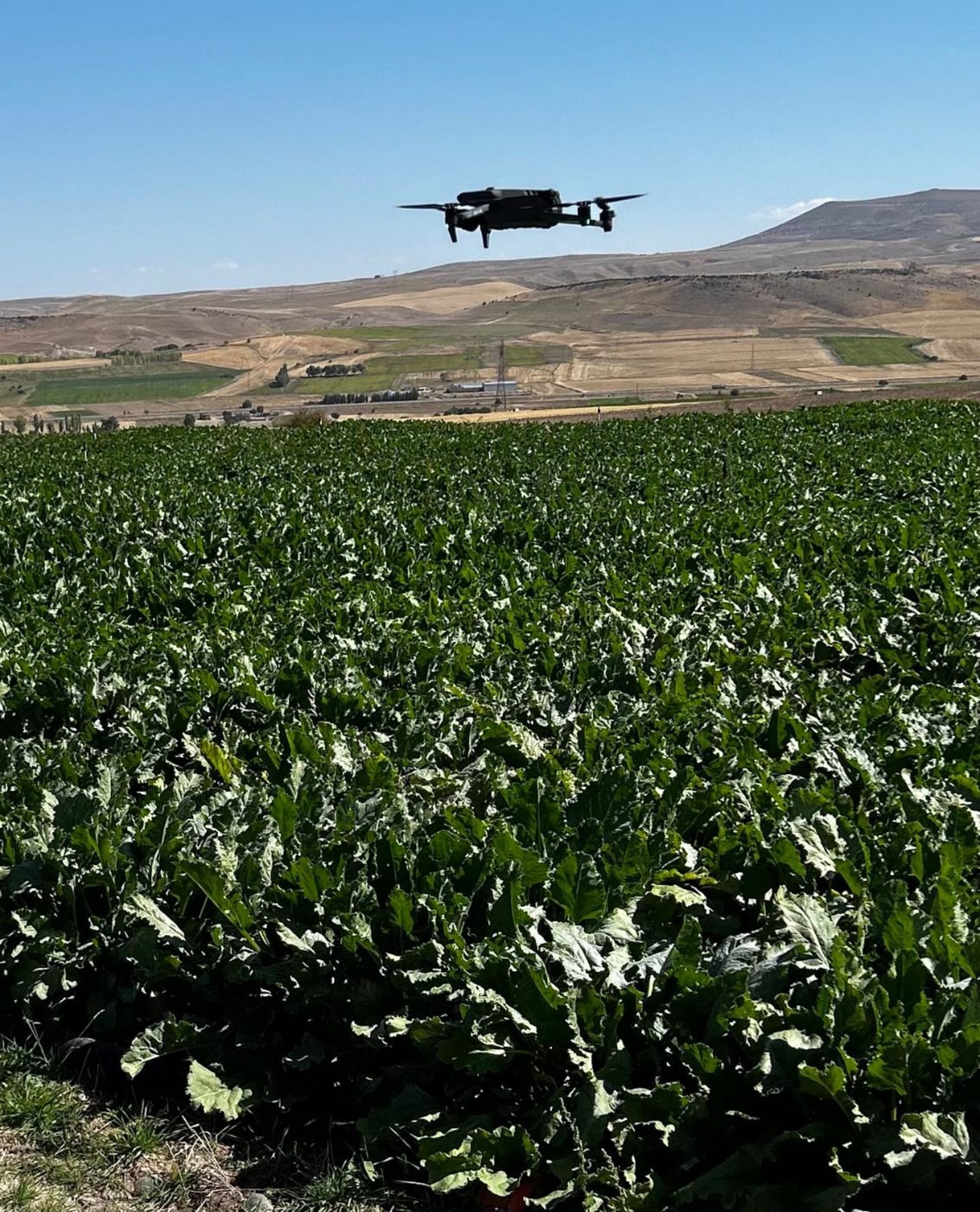 FOMOTECH drone field operation